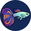 Guppy (Beginner)